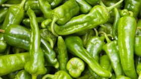 Friggitello paprika - édespaprika
